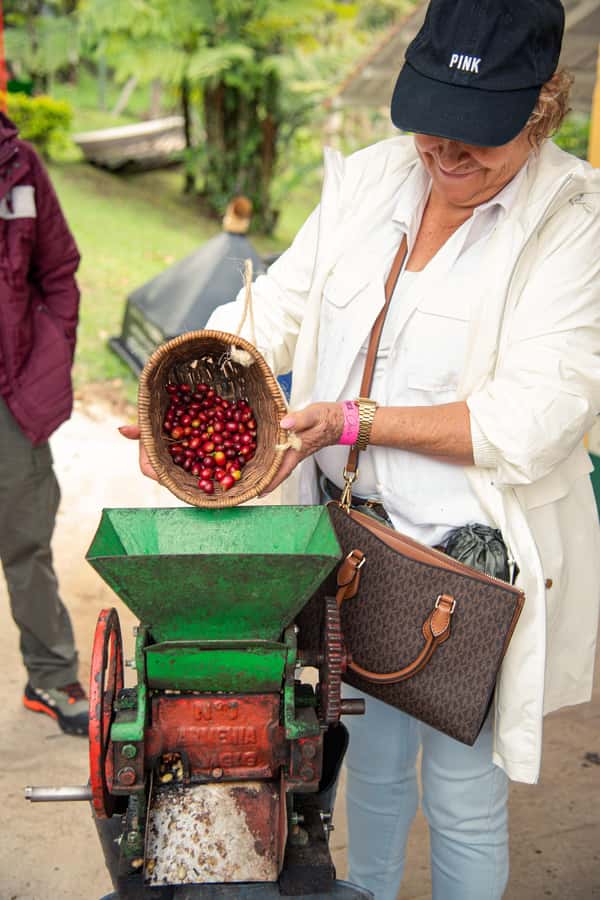 Coffee Tour Salento-Ocaso Farm- English Tour - Starting with coffee plants and Colombian coffee history
