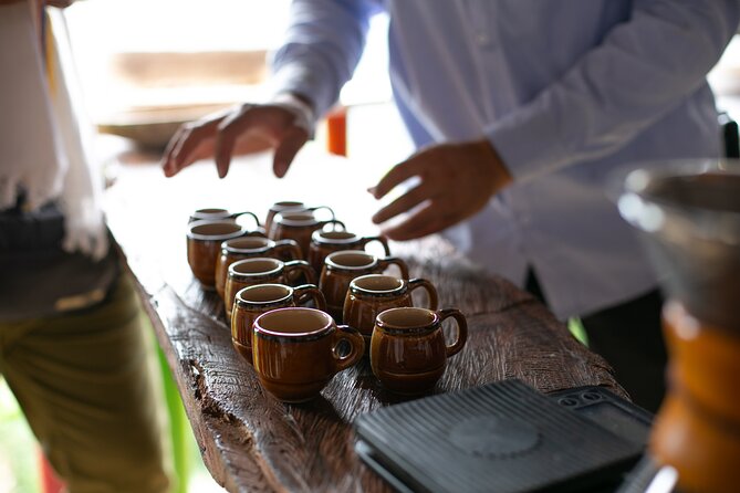 Coffee Tour with arrival on horseback and sugar cane processing - Lunch beside the Palmitas mountains