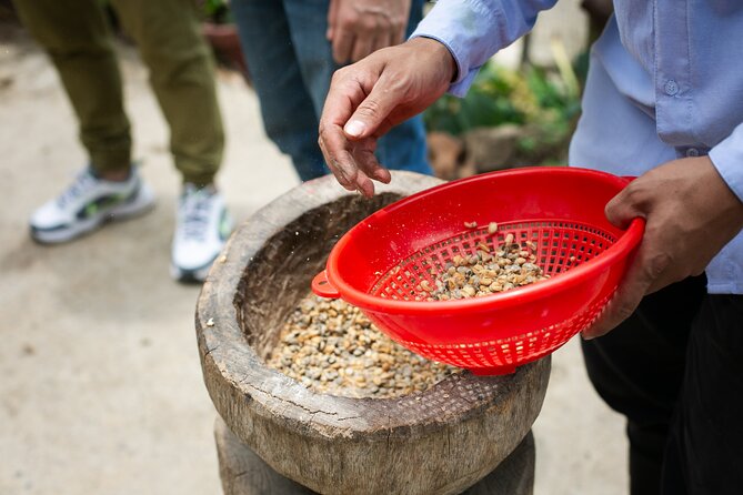 Coffee Tour with arrival on horseback and sugar cane processing - What the four to six hour schedule really means