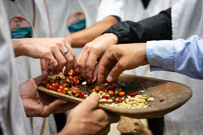 Coffee Tour with arrival on horseback and sugar cane processing - Meeting the family behind the farm