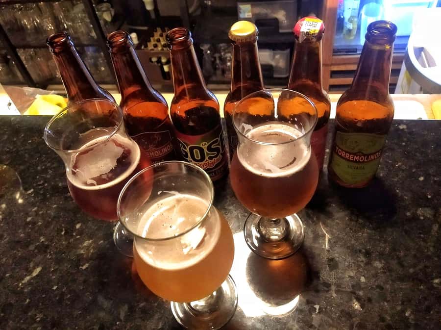 Craft Beer Pub Crawl in Cali - Walking, timing, and what to bring