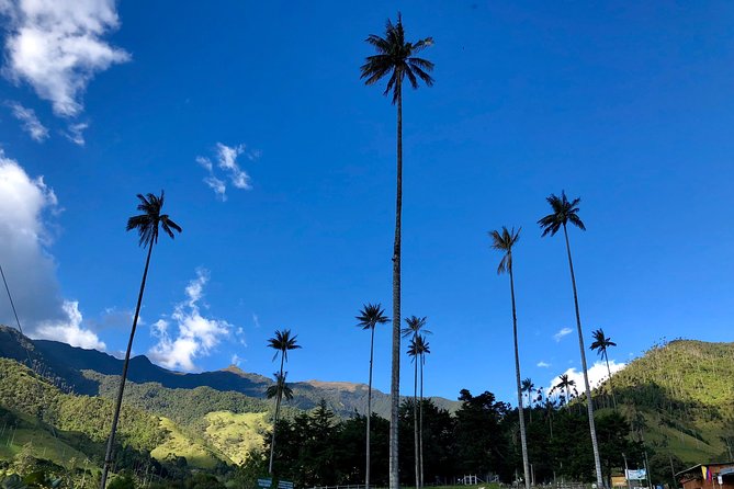 Do it yourself 11 days tour in Colombia (customizable) - What this Colombia trip actually gives you