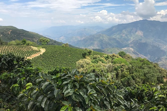Do it yourself 11 days tour in Colombia (customizable) - El Peñol rewards the climb