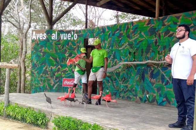 Eco Plan National Aviary and Lunch in Playa Mambo Beach Barú - Why this Cartagena day trip works