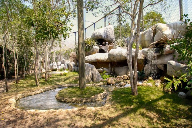 Eco Plan National Aviary and Lunch in Playa Mambo Beach Barú - The National Aviary: a strong morning in nature