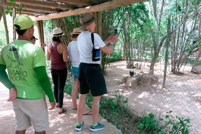 Eco Plan National Aviary and Lunch in Playa Mambo Beach Barú - Timing, group size, and comfort