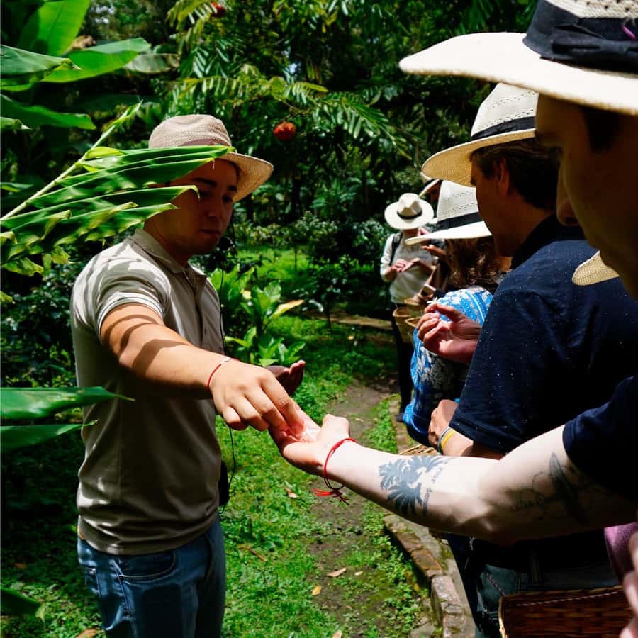 From Bogotá: Coffee Farm and Tequendama Falls Tour - Key Points to Know Before You Go