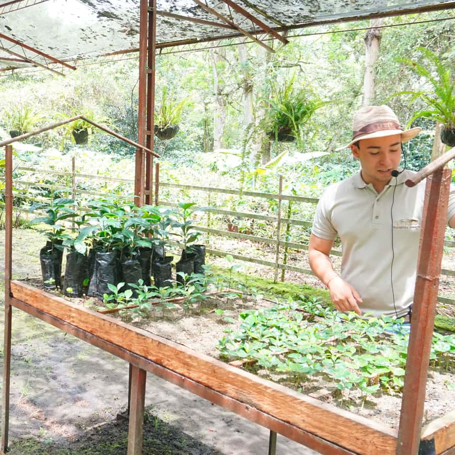 From Bogotá: Coffee Farm and Tequendama Falls Tour - Leaving Bogotá for the Mountains