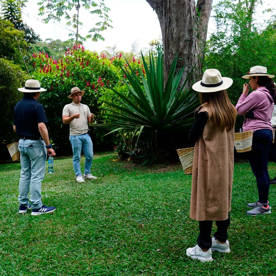 From Bogotá: Coffee Farm and Tequendama Falls Tour - The Guides Can Make or Break the Drive