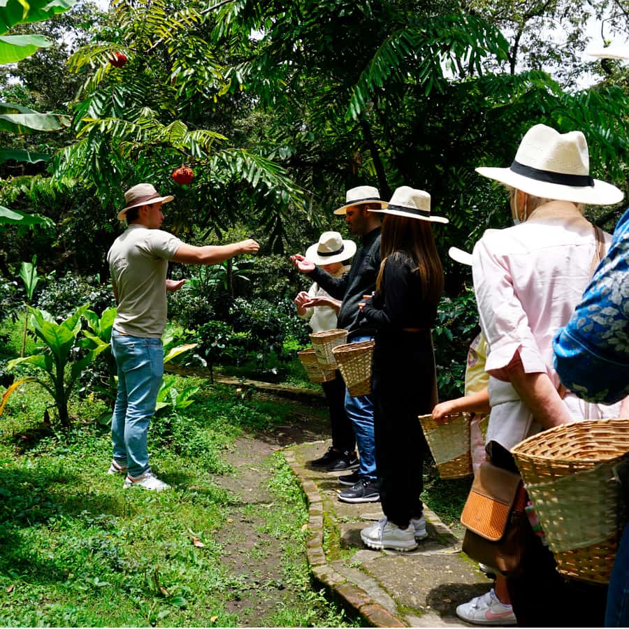From Bogotá: Coffee Farm and Tequendama Falls Tour - Tequendama Falls and the Bogotá River