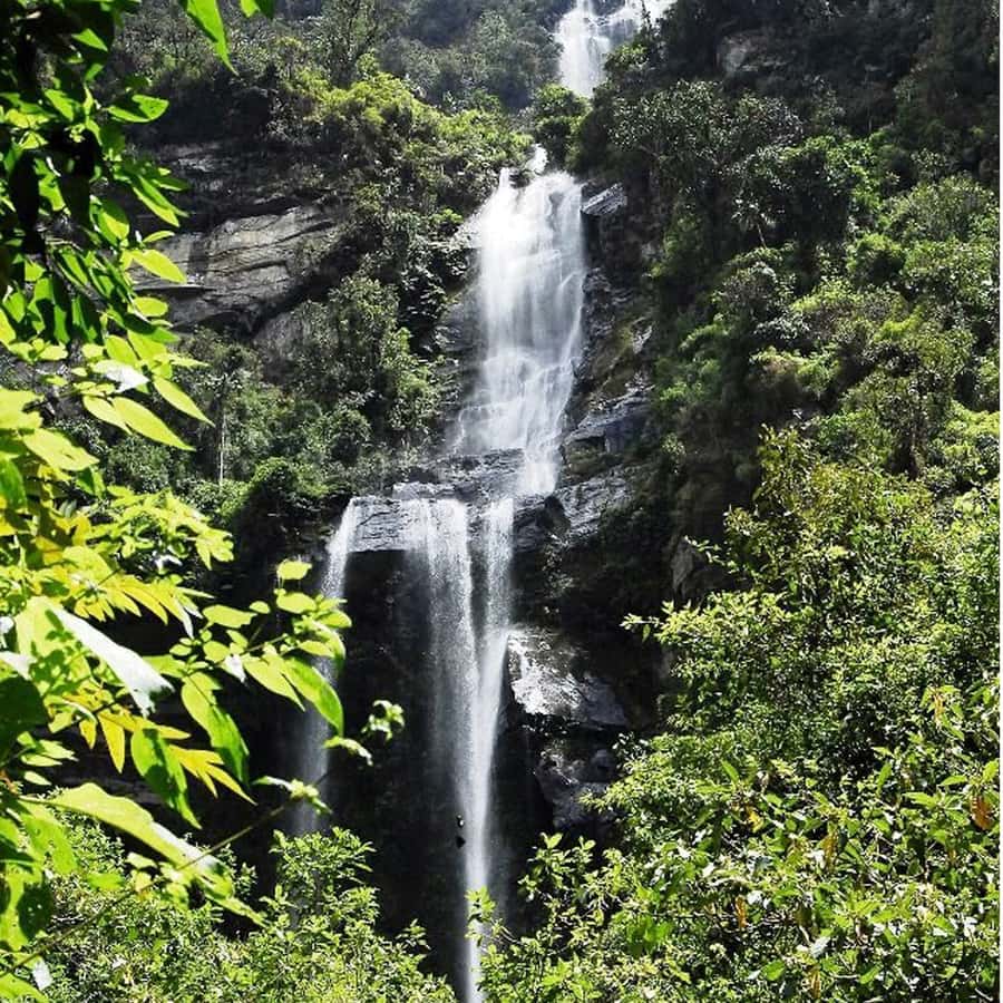 From Bogota: La Chorrera Waterfall Guided Hike - Key points to know before you book