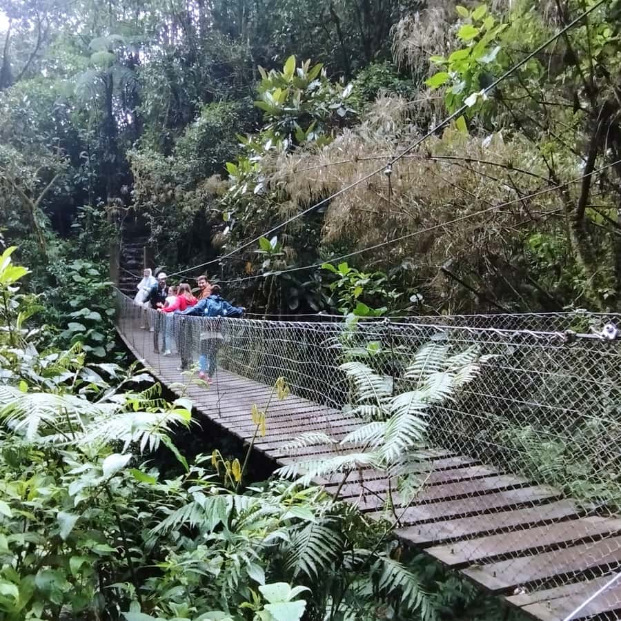 From Bogota: La Chorrera Waterfall Guided Hike - Guides shape the quality of the day