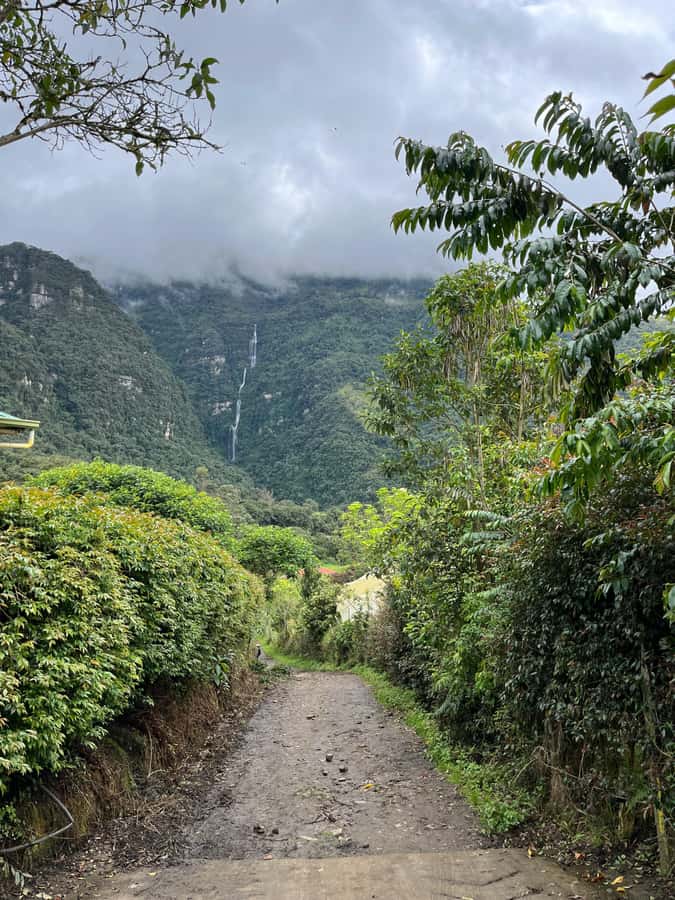 FROM BOGOTA: Tour to La Chorrera, Colombia's highest waterfall. - Reaching the 590-meter falls