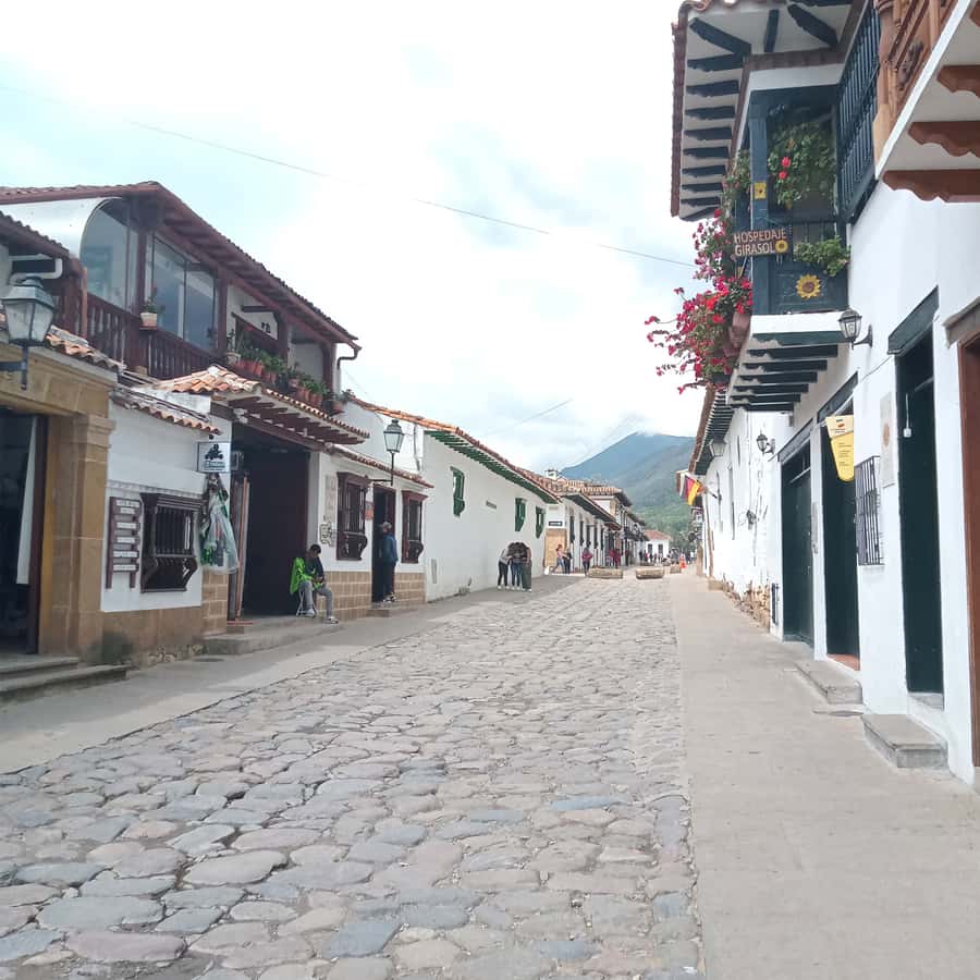 From Bogota: Villa de Leyva Day Magic Town Tour - Private transport, group size, and guiding