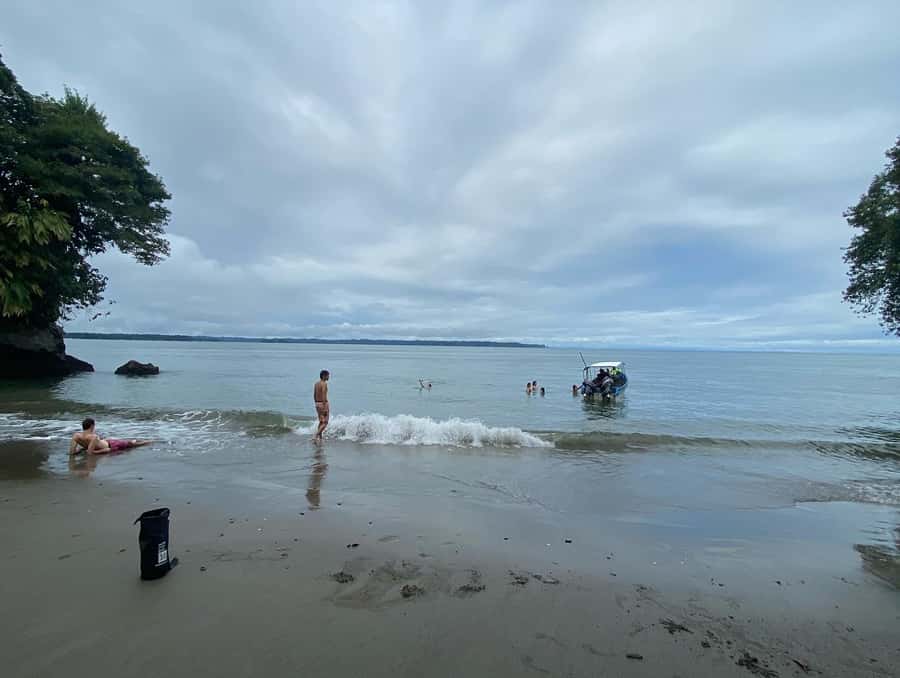 From Cali: Whale Watching Day Trip in Buenaventura - Watching humpback whales for 30 minutes