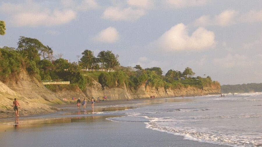 From Cali: Whale Watching Day Trip in Buenaventura - Is $500 a fair price?