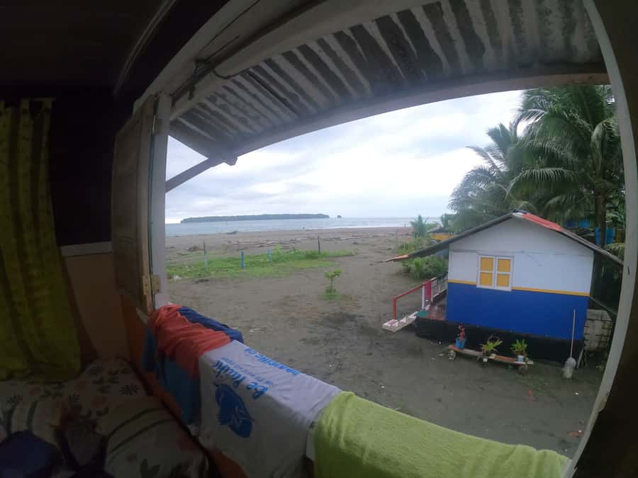 From Cali: Whale Watching Day Trip in Buenaventura - Who should book this day trip?