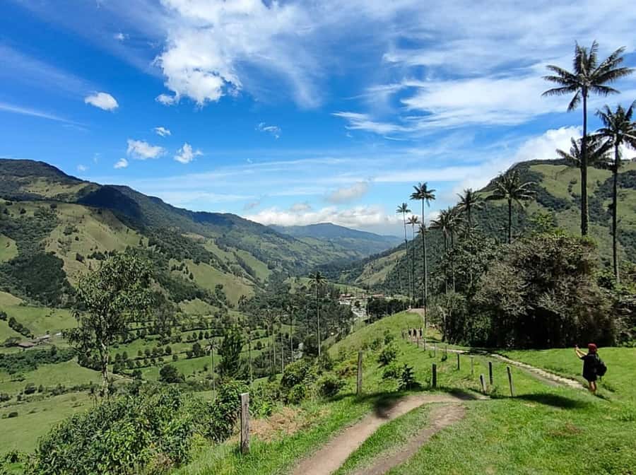 From Salento: Cocora Valley Shared Tour - Key points at a glance