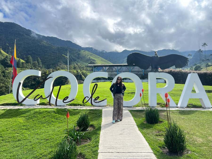 From Salento: Cocora Valley Shared Tour - Why Cocora Valley deserves a place in your Salento plans