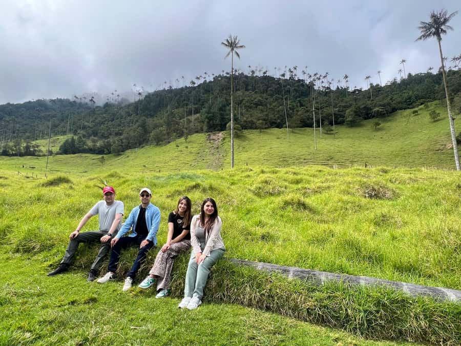 From Salento: Cocora Valley Shared Tour - What the guide adds to the walk