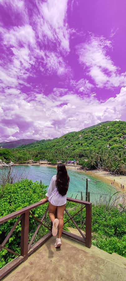 From Santa Marta: Tayrona National Park Guided Tour - The return walk and ride back