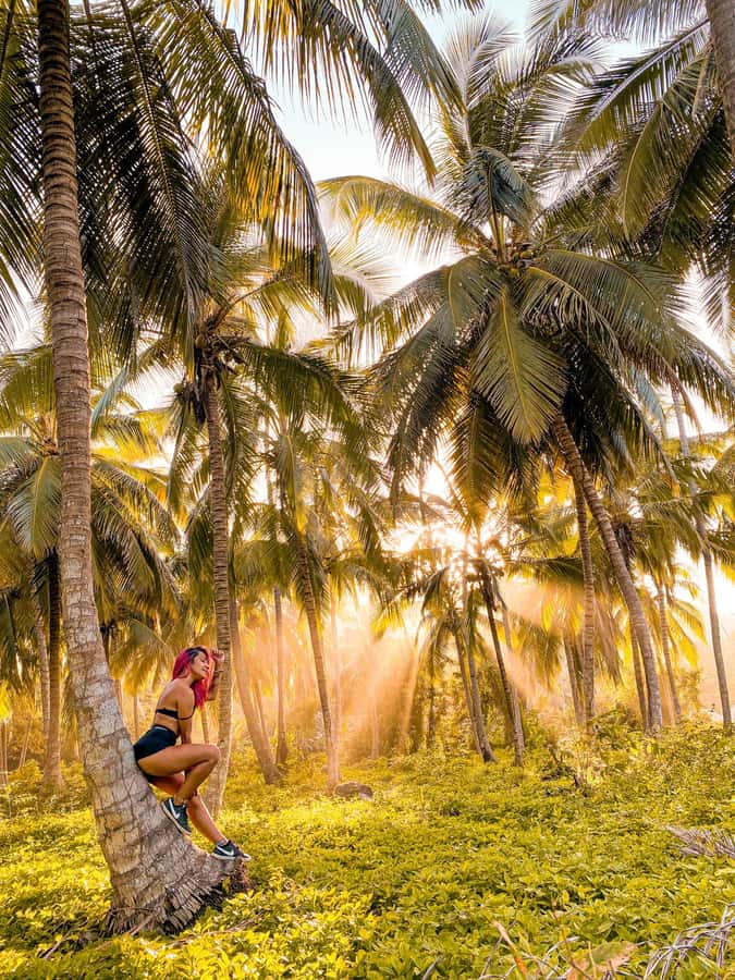 From Santa Marta: Tayrona National Park Guided Tour - The early ride from Santa Marta or El Rodadero
