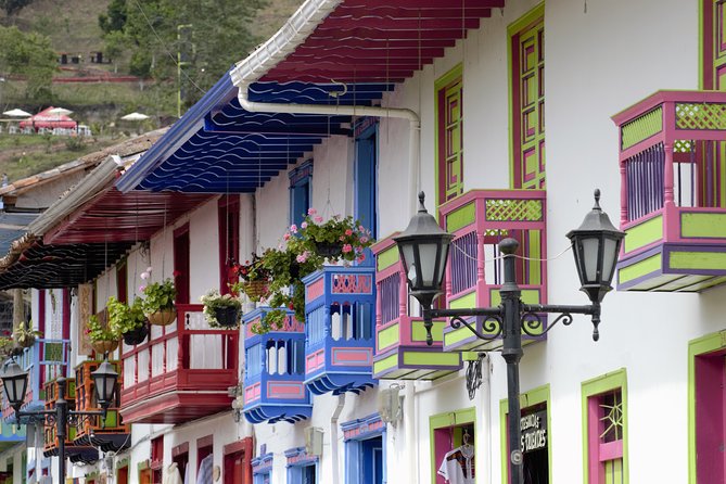 Full-Day Private Coffee Tour in Cocora Valley and Salento - Who should book this experience
