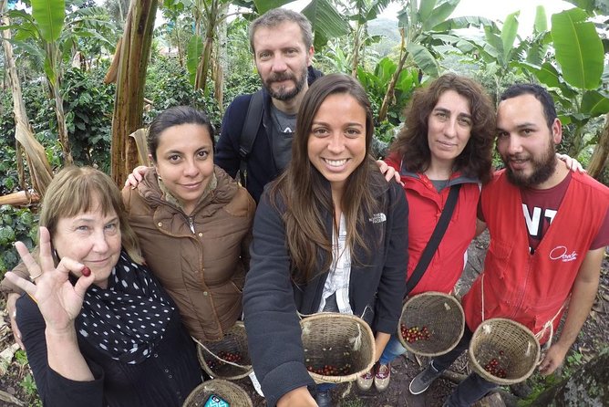 Full-Day Private Coffee Tour in Cocora Valley and Salento - Riding through the coffee region