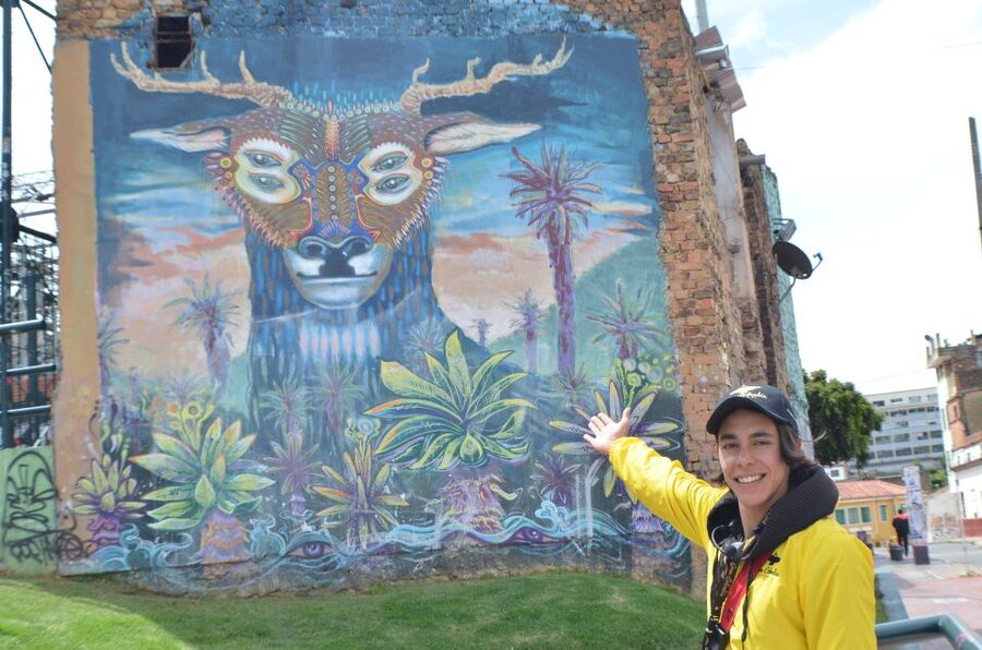 Graffiti Tour in La Candelaria Bogotá with Transportation - Women artists and a wider view of Bogotá’s street art