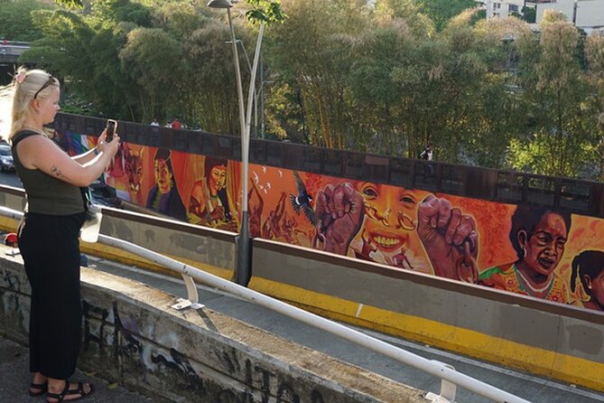 Historical Shared Tour Salsa, Graffiti & Resistance in Cali - Boulevard del Río Emcali and the city view