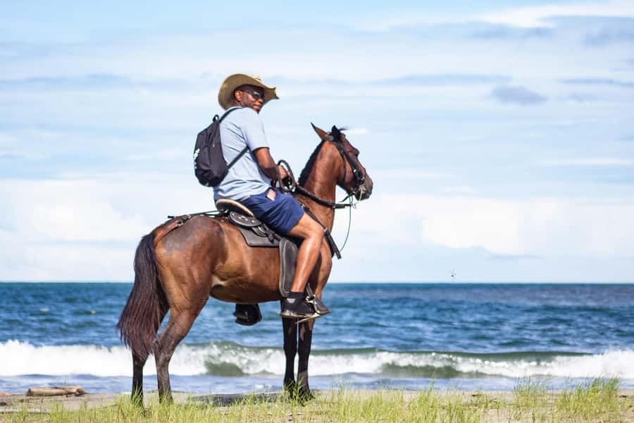 HORSE TOUR IN CARTAGENA BEACH - Key points to know before booking