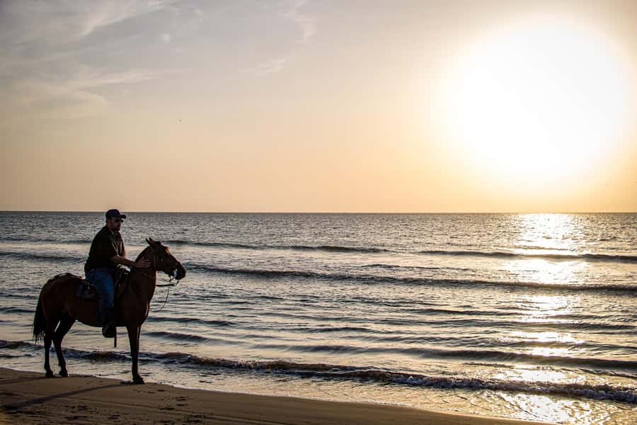 HORSE TOUR IN CARTAGENA BEACH - A beach ride away from Cartagena’s city noise