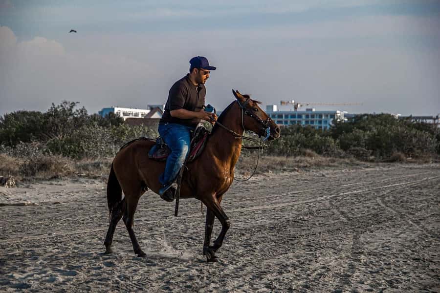 HORSE TOUR IN CARTAGENA BEACH - Private transport from Cartagena, including cruise-port details