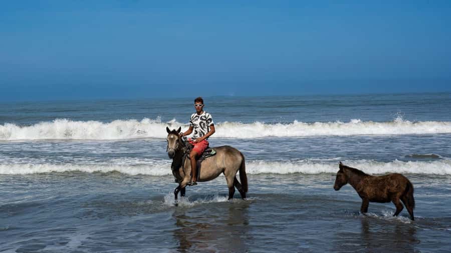 HORSE TOUR IN CARTAGENA BEACH - Is $43 a good value?
