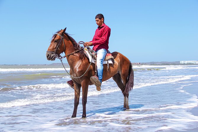 Horseback Riding Tour through the Beaches of Cartagena de Indias - Riding from Cartagena to the beach