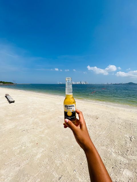Isla Tierra Bomba beach club: Day Pass with typical food - Choosing lunch from fish to vegan paella