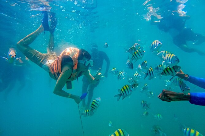 Magical Full-Day Tour Through The Mangroves And The Beach In Isla de Barú - What this $45 Barú tour is really offering