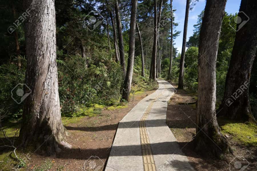 Medellín: Botanical Garden and Arvi Park City Tour - Arví Park and its forest trails