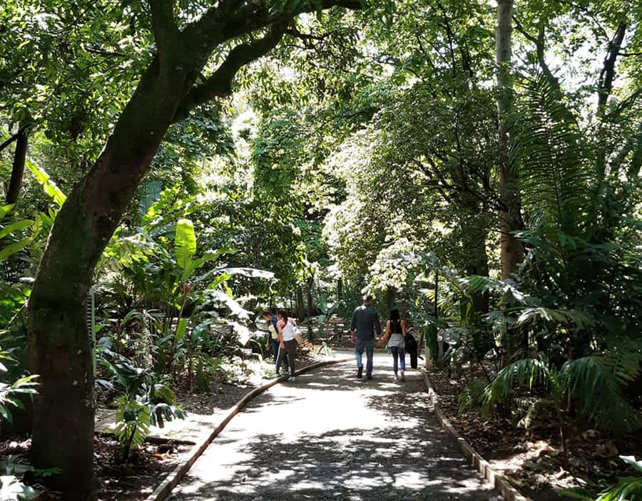 Medellín: Botanical Garden and Arvi Park City Tour - Is $85 a fair price?