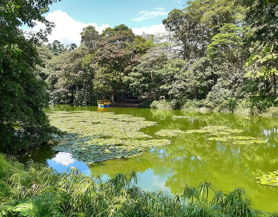 Medellín: Botanical Garden and Arvi Park City Tour - Who should book this Medellín nature tour?