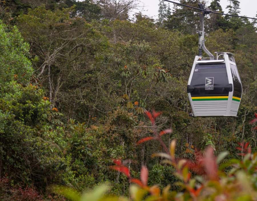 Medellín: Botanical Garden and Arvi Park City Tour - Two hours among plants at the Botanical Garden