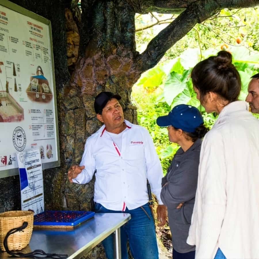 Medellin: Coffee Farm and Barista Workshop Experience - What makes this coffee experience worth your time