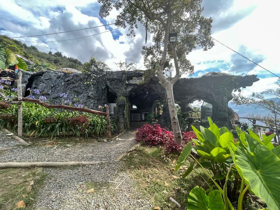 Medellin: Coffee Farm and Barista Workshop Experience - Who will enjoy this most