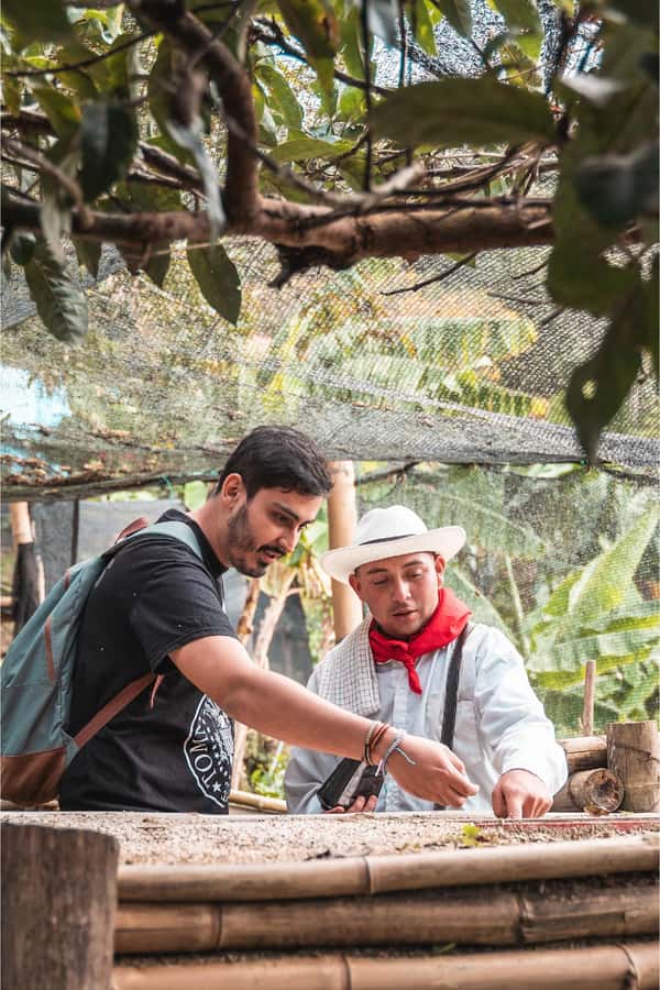 Medellin: Coffee Farm and Barista Workshop Experience - Booking details to check before you go