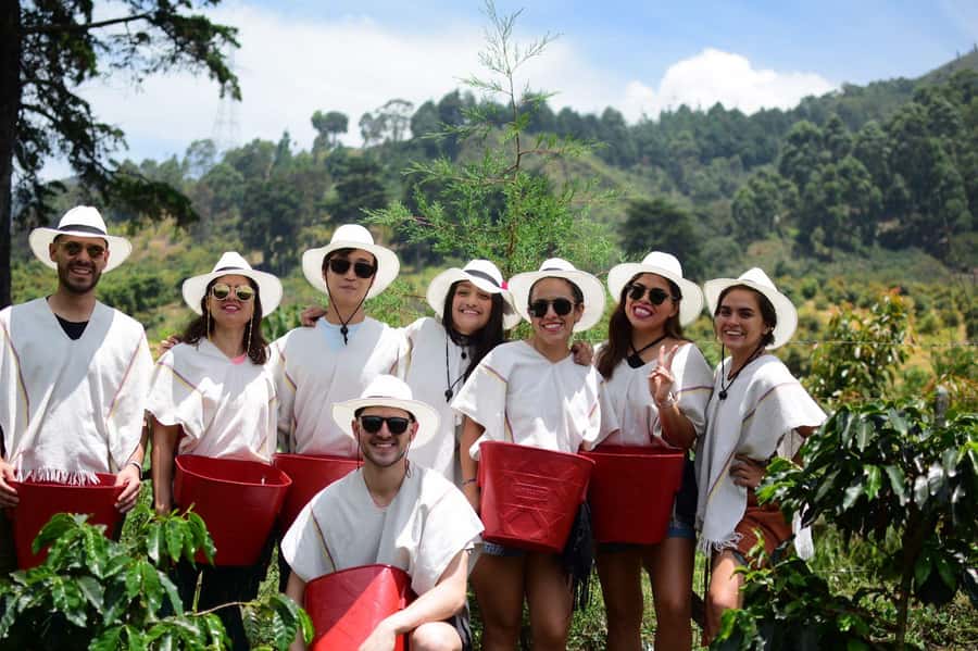 Medellín Coffee Farm Tour with Trolley and Cable Car Ride - Why this Medellín coffee tour is different