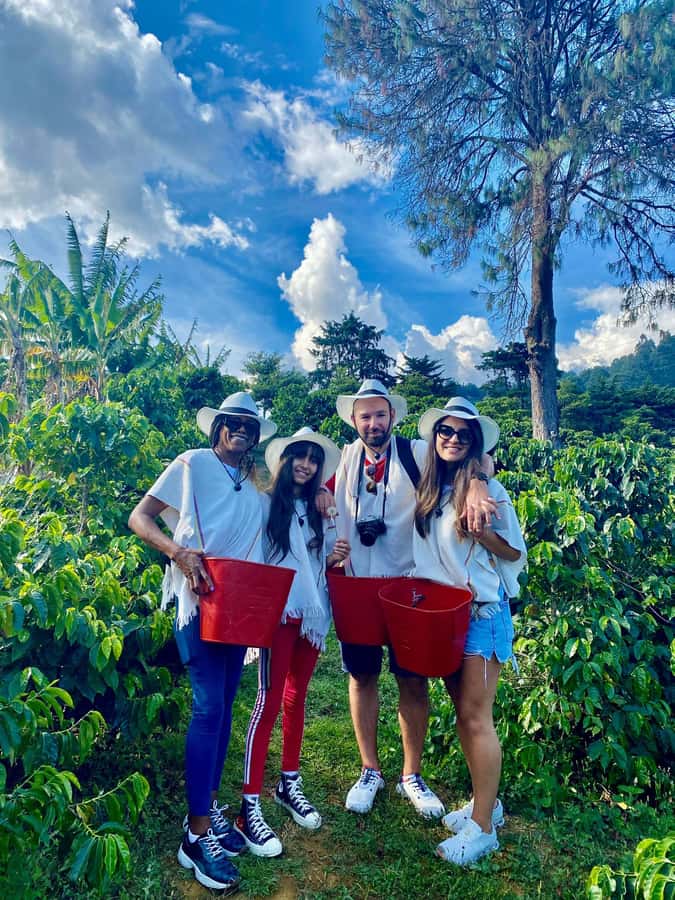 Medellín Coffee Farm Tour with Trolley and Cable Car Ride - Meeting at San Antonio and starting by trolley