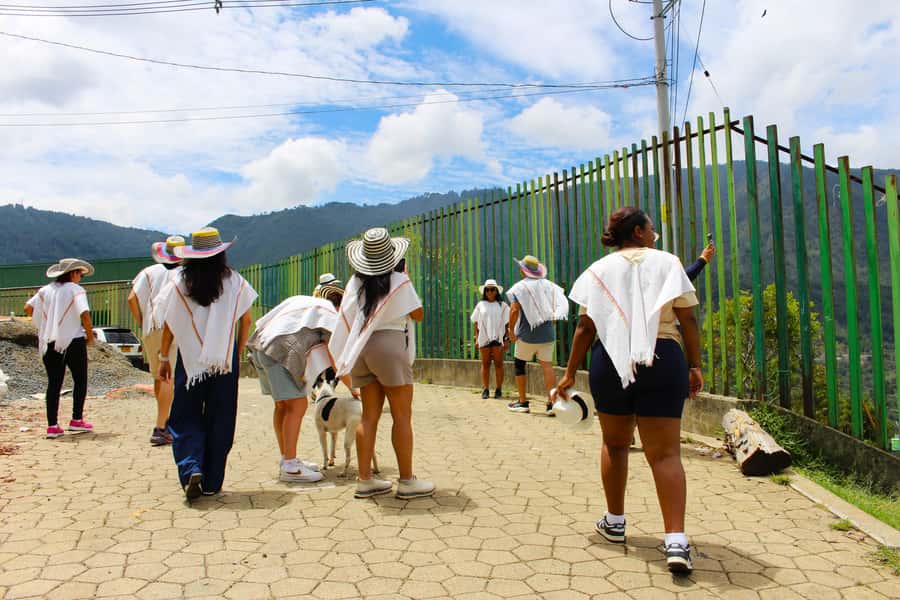 Medellín Coffee Farm Tour with Trolley and Cable Car Ride - The views, weather, and physical effort