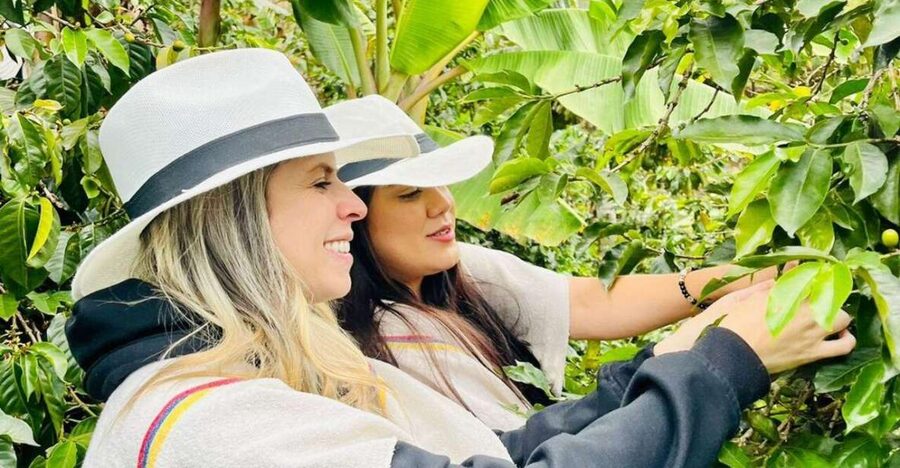 Medellín Coffee Farm Tour with Trolley and Cable Car Ride - Is $56 a fair price?