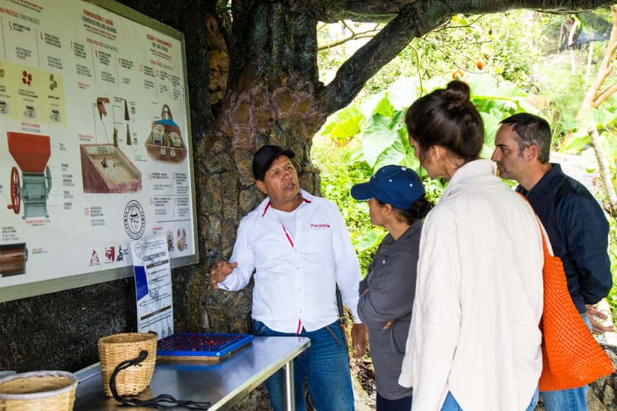 Medellin: Coffee Tour and Wellness Spa - Practical preparation for the farm