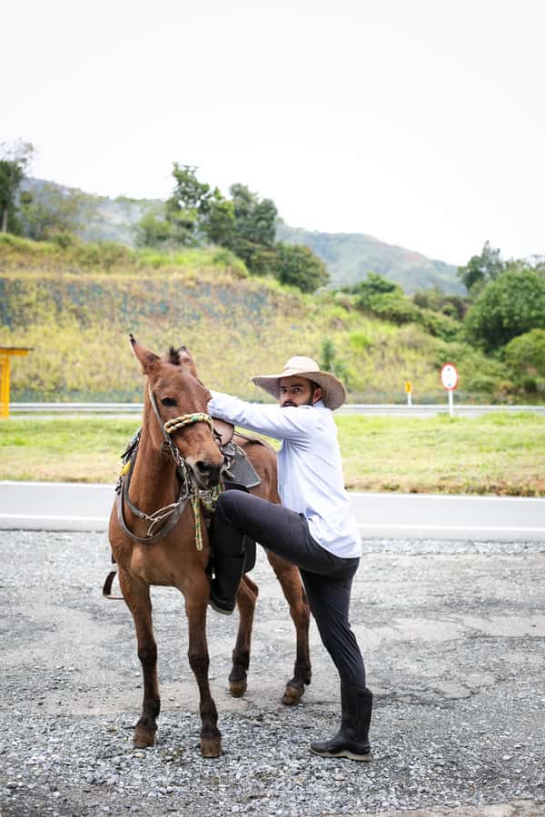 Medellin: Coffee Tour, Horseback Arrival, and Sugar Cane - Sugar cane and panela with lime